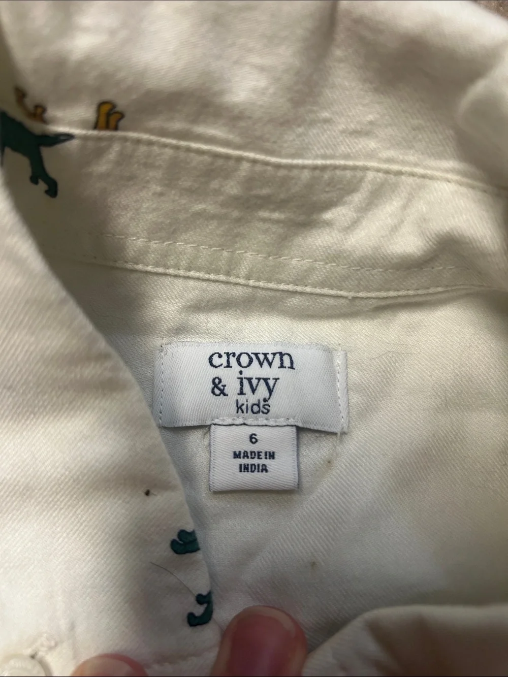 Crown & Ivy Boys Button-Down Shirts